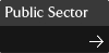 Public Sector
